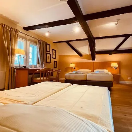 Hotel Salischer Hof Schifferstadt