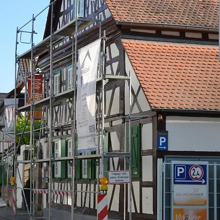 Hotel Salischer Hof 3*