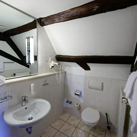 Hotel Salischer Hof 3*