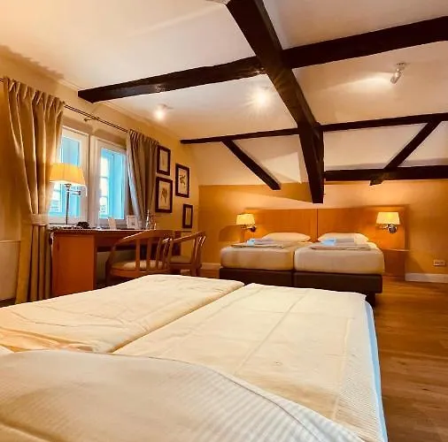 Hotel Salischer Hof Schifferstadt