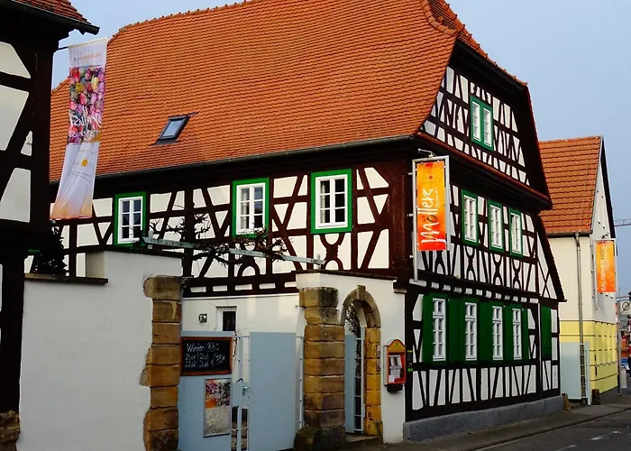 Salischer Hof Hotel Schifferstadt