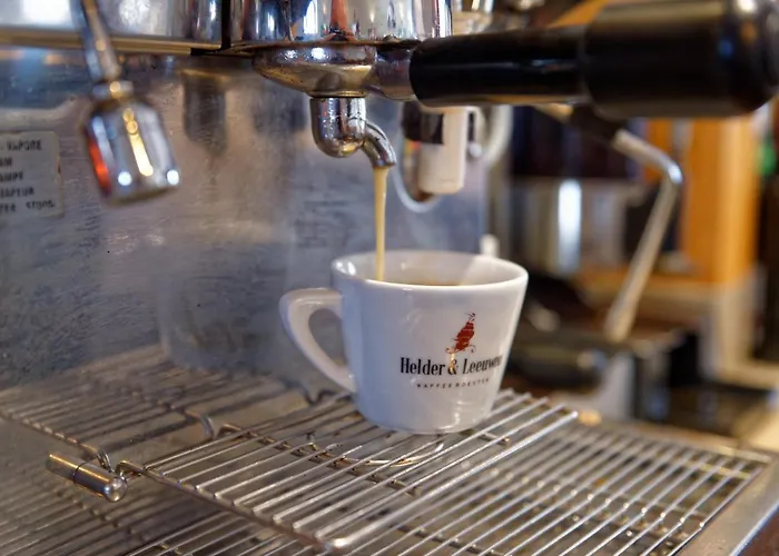 Salischer Hof Hotel Schifferstadt