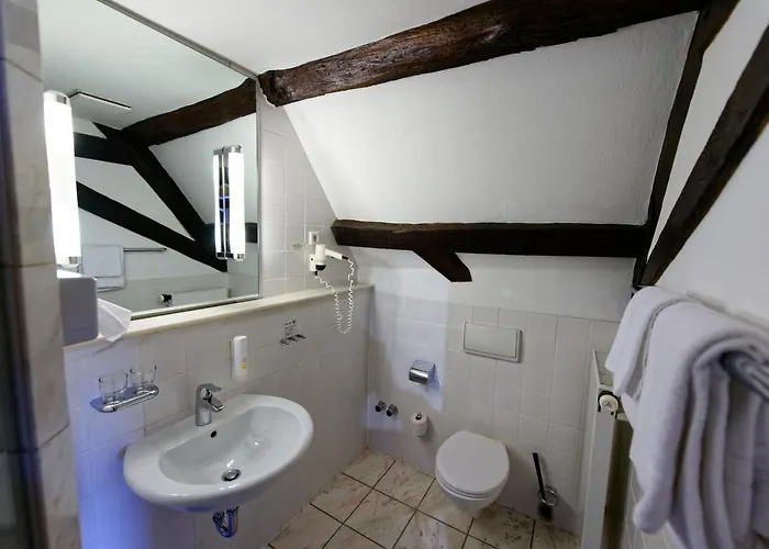 Hotel Salischer Hof 3*